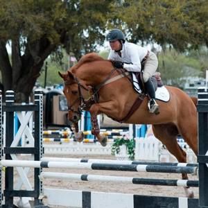 Meet your Posher, Anne